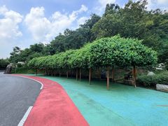 -火炉山森林公园