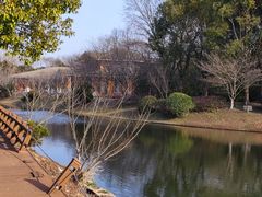 -上海海湾国家森林公园