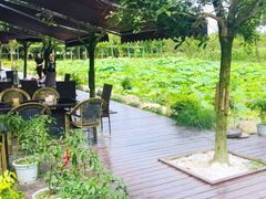 -洪湖家庭农场·团建·露营·会议