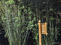 -龙头寺公园