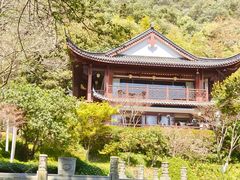 -十八棵（老龙井）御茶园(老龙井店)