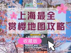 -顾村公园