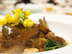 -子福慧(虹桥店)