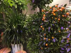 -阿记烧烤(大兴新区店)