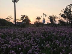 -七彩云南古滇温泉山庄