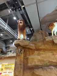 -鲁比猴非洲探索部落(喜盈门店)