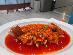 -丁老爷子苏香圆