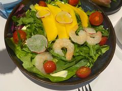 芒果牛油果大虾色拉-乐意坊Alla Torre意大利手工披萨(陆家嘴旗舰店)