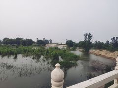 -花园口旅游区