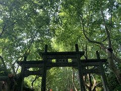 -杭州黄龙洞