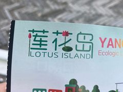 -莲花岛景区