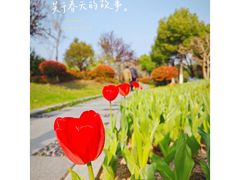 -USTC1958东区·by UNILAB