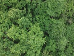 -桤木河湿地公园