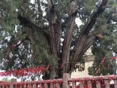 -四门塔风景区