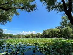 -承德避暑山庄景区
