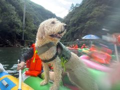 -安吉龙王山峡谷漂流