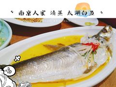 清蒸太湖白鱼-南京人家(盛京大奥莱店)