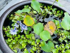 -青州市云门山风景区