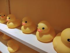 -深圳独角兽星空艺术馆