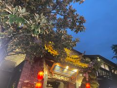 -小龙翻大江文化火锅(宽窄店)