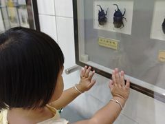 -上海昆虫博物馆