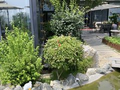 -蘇河湾·新鲁菜·泰山宴(泰山店)