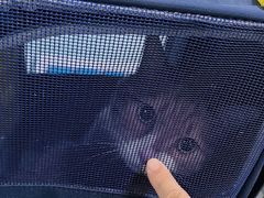 -达爱动物医院·犬猫分区·CT·复杂眼科(远洋山水分院)