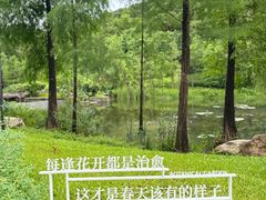 -云溪植物园