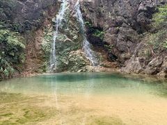 -南海湾森林生态园