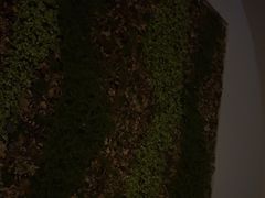 -上足·影院足道·SPA(红岭店)