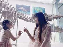 -重庆欢乐海底世界