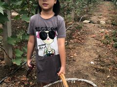 -马陆小张葡萄园农家乐