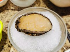 鲍鱼-丰卓会海鲜自助(中润大道店)