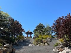 -大兴滨河森林公园