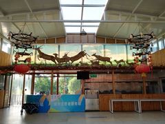 -北京鹿世界主题园