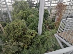 -郑州植物园