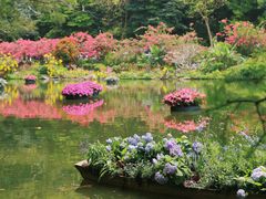 -深圳仙湖植物园