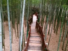 -陶祖圣境风景区