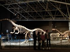 -世界恐龙谷景区