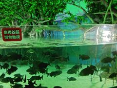 -福州罗源湾海洋世界旅游区