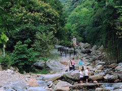 -少华山国家森林公园