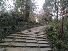 -成都市活水公园