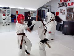 -极真空手道修远道场