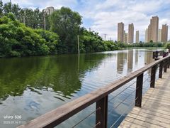 -前关湿地公园