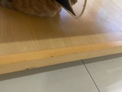 -美迦爱-牙专科·兔科·骨科诊疗中心(北苑店)