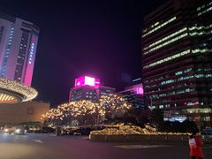 -乐天免税店(明洞店)