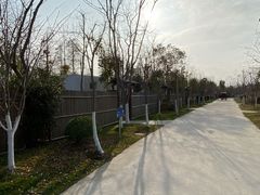 -上海海湾国家森林公园