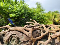 -奥兰多迪士尼动物王国乐园