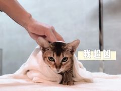 -Double Rui宠物酒店