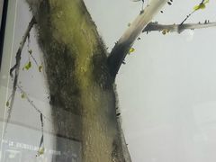-上足·影院足道·SPA(红岭店)